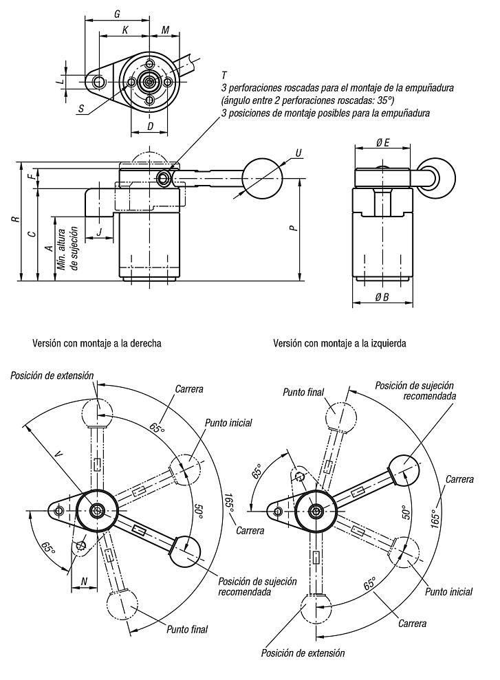 Dispositivos de sujeción pivotante