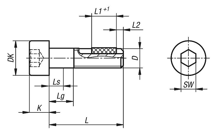 Tornillo de cabeza cilíndrica con hexágono interior DIN EN ISO 4762, con seguro de rosca