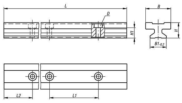 Carriles guía DryLin® T