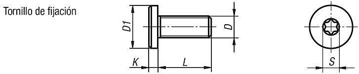 Tornillos de fijación